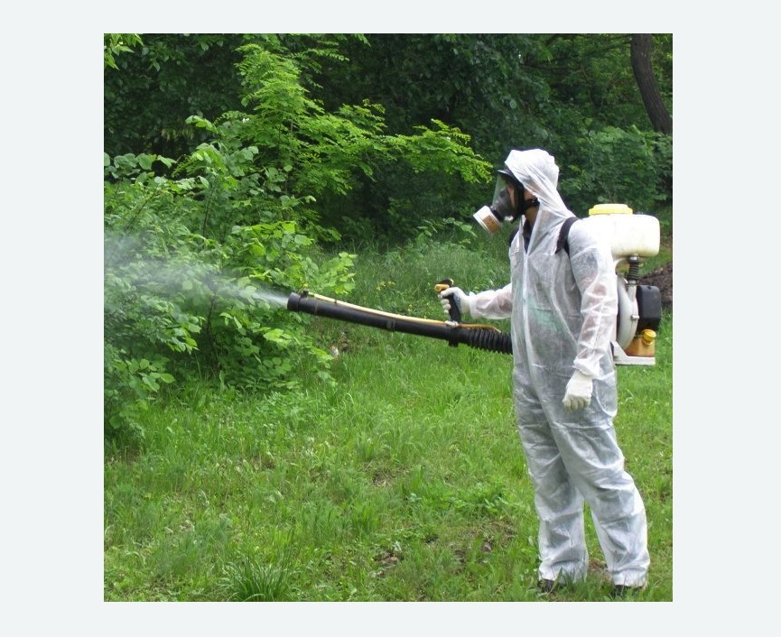 обработка территории от клещей в Токсово