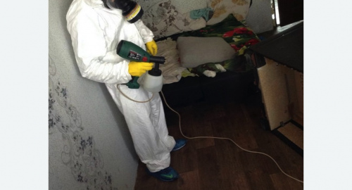 Обработка квартир от насекомых в Токсово