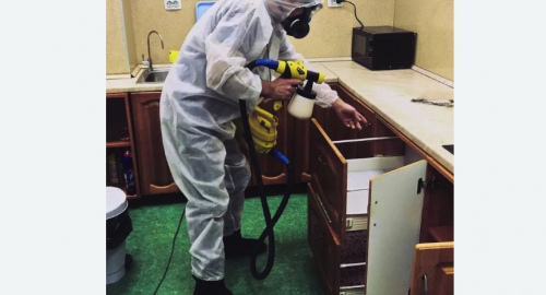 Дезинсекция квартиры. Токсово