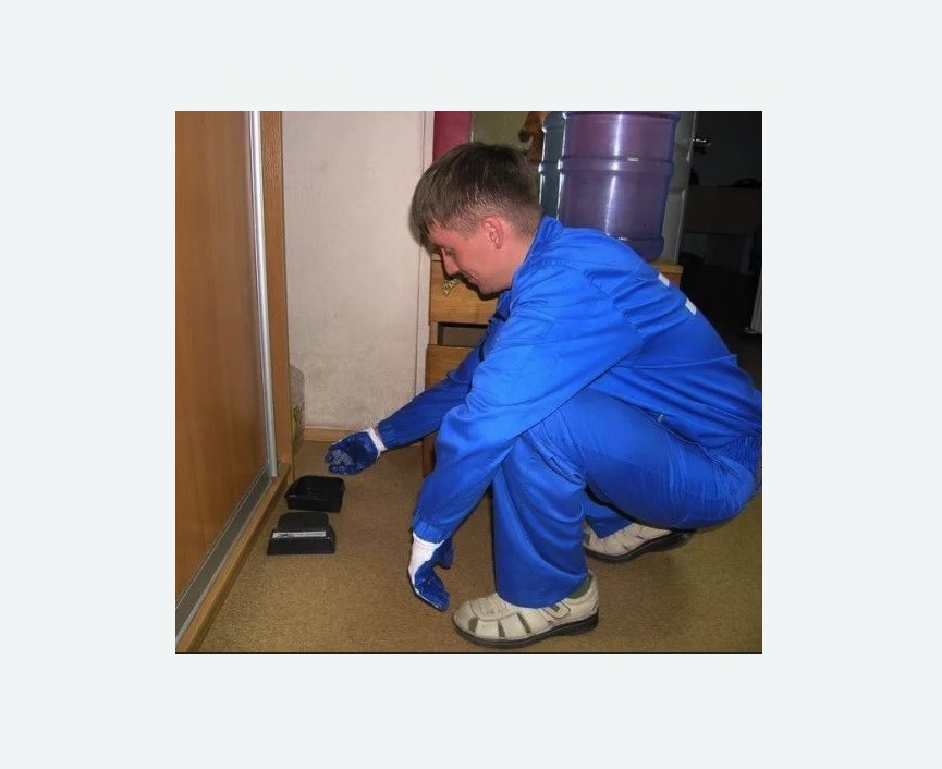 Дератизация крыс в Токсово