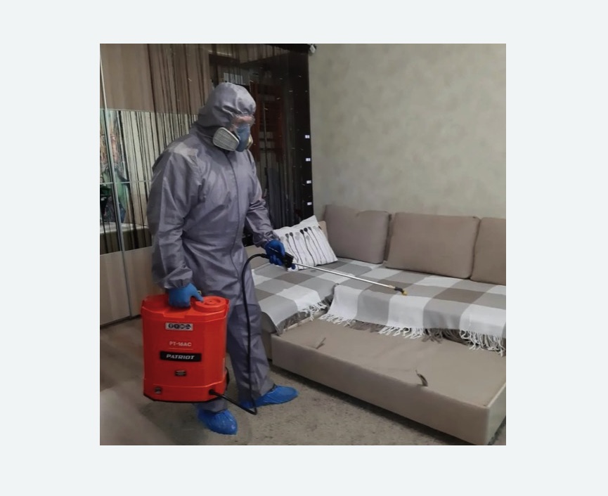 Обработка квартиры от блох в Токсово Обработка квартиры от блох