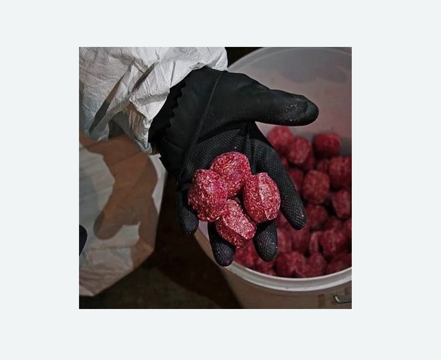 Обработка от крыс в Токсово