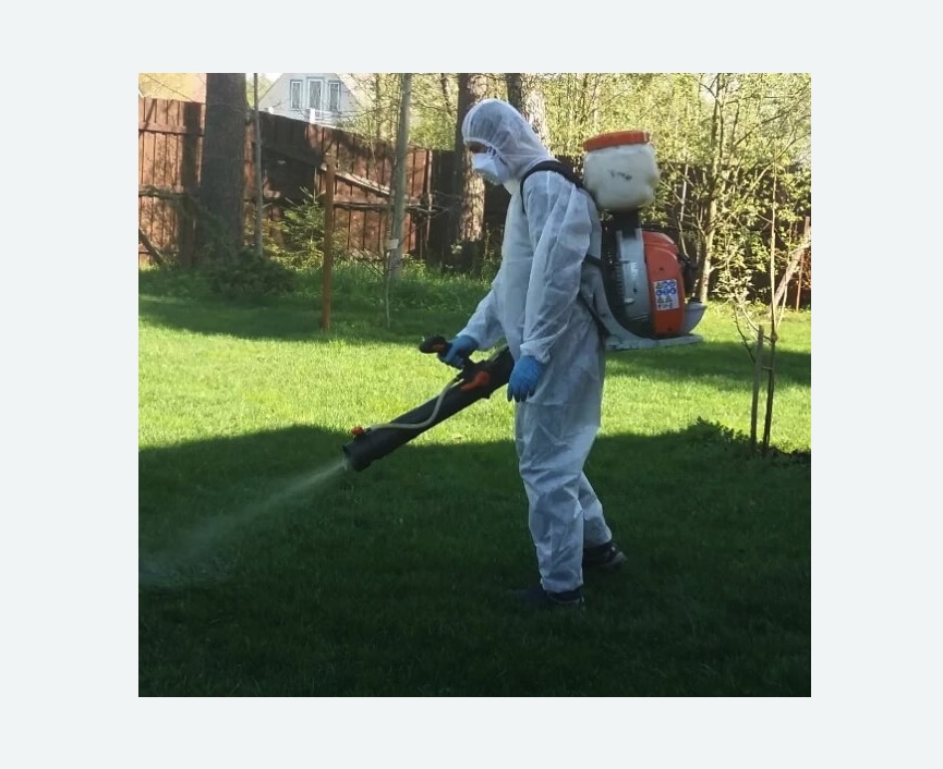 Обработка участка от клещей в Токсово Обработка участка от клещей