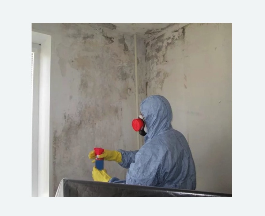 Удаление плесени в квартире в Токсово