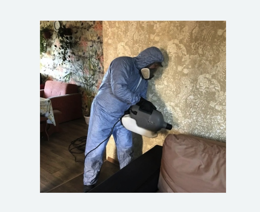 Уничтожение блох в квартире. Токсово Уничтожение блох в квартире