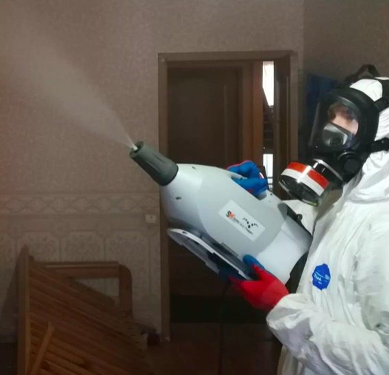 дезинсекция помещения в Токсово