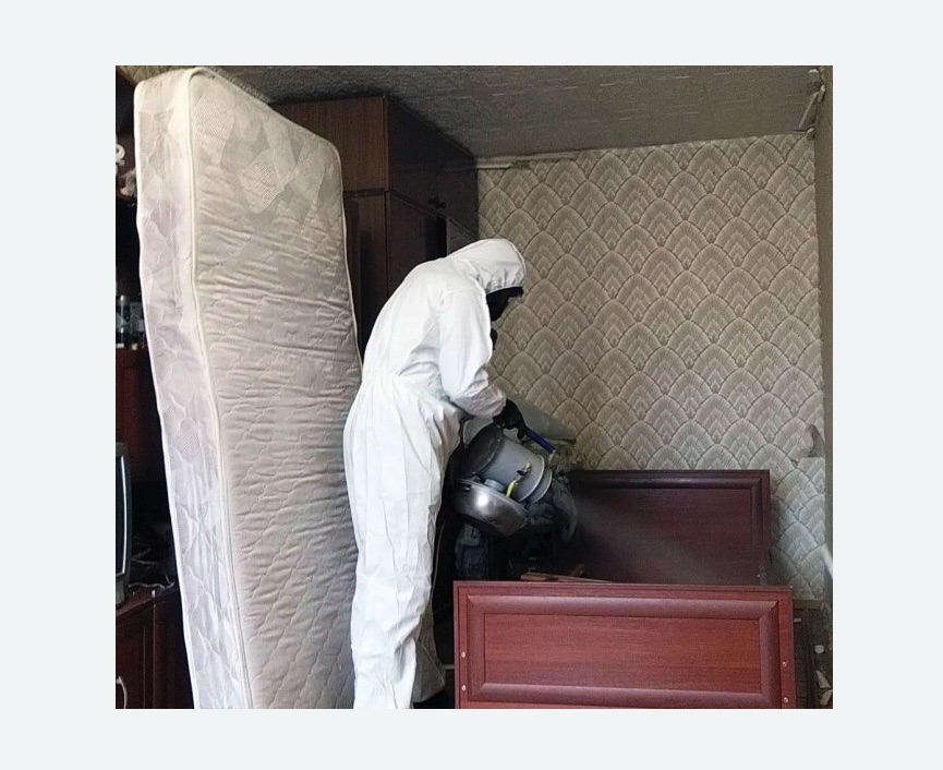 дезинфекция от клопов в Токсово