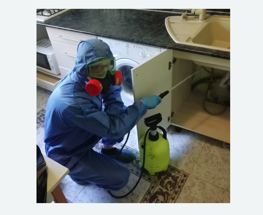 обработка от муравьев в квартире обработка от муравьев в квартире в Токсово