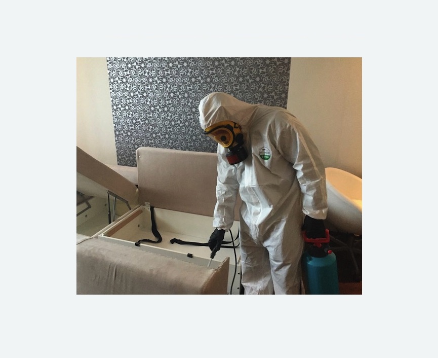 уничтожение клопов в квартире в Токсово