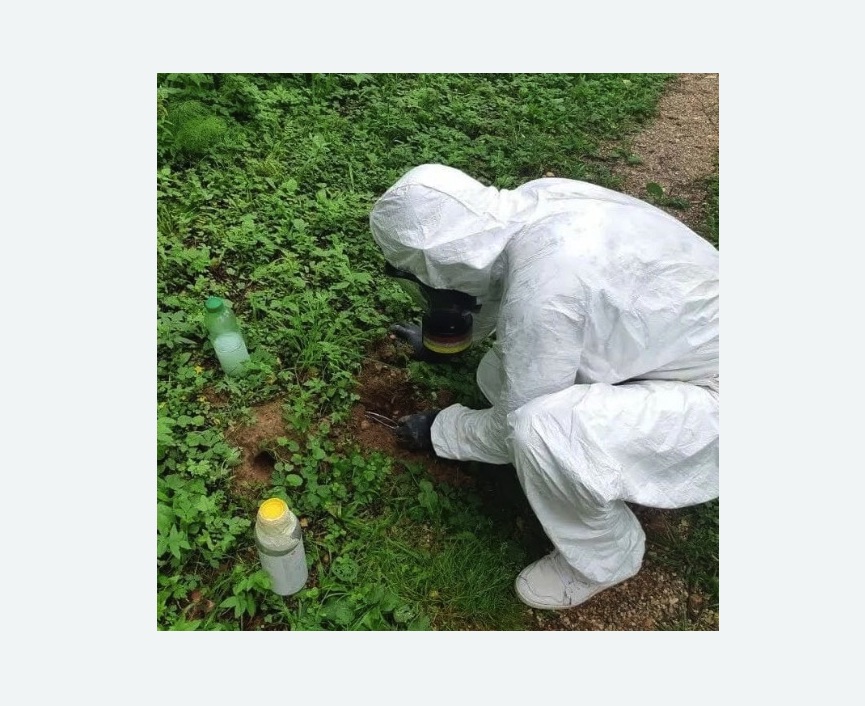 уничтожение кротов на участке в Токсово