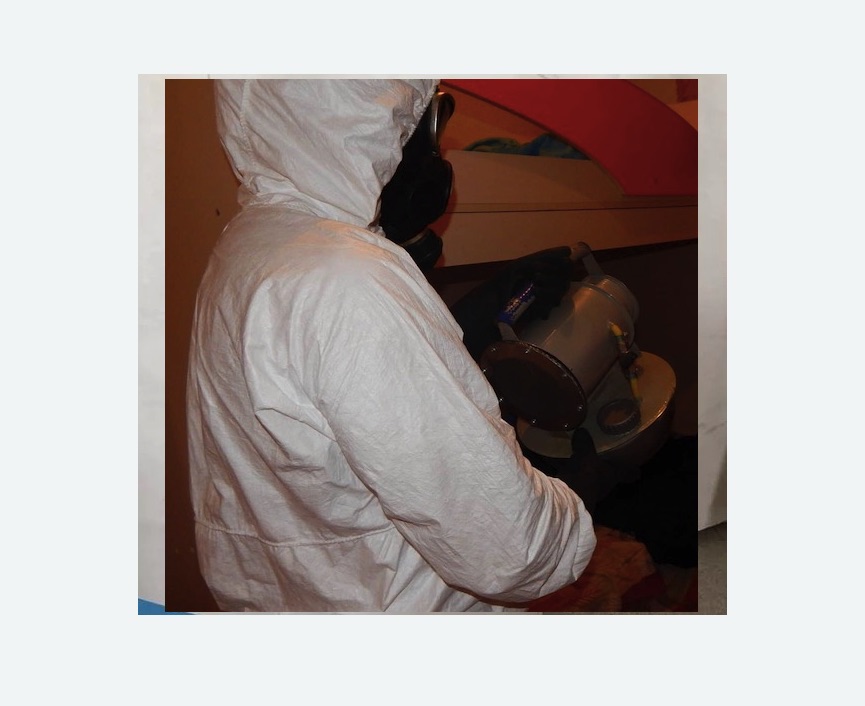 Дезинфекция от муравьев Дезинфекция от муравьев в Токсово