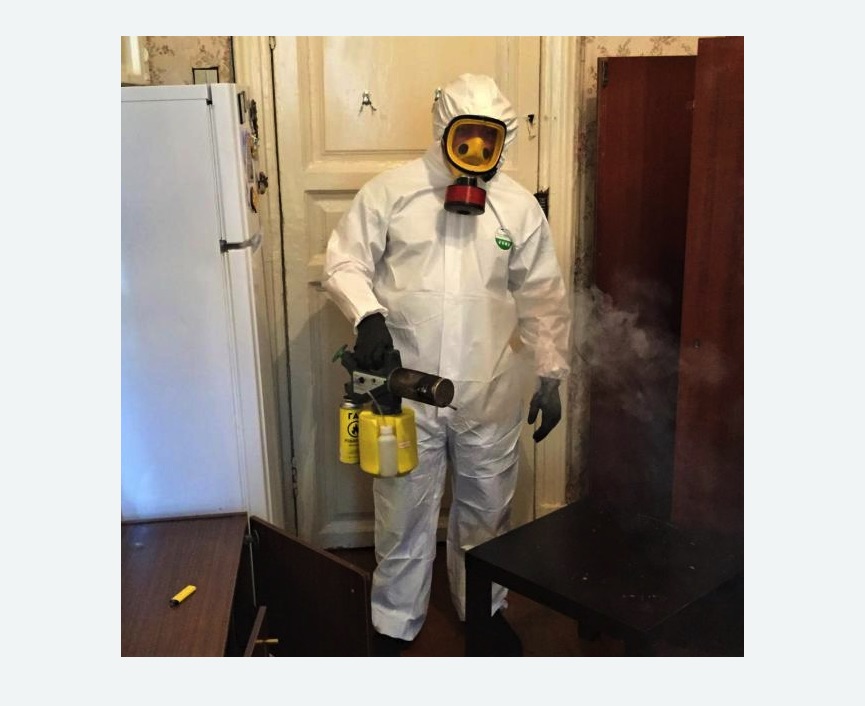 уничтожение муравьев в квартире уничтожение муравьев в квартире в Токсово